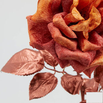 Rosa Velluto Albicocca Rame Ramo