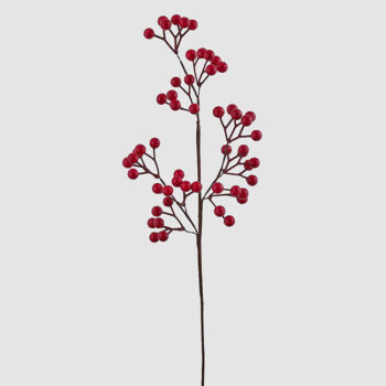 Ilex Blis Veja H-58 Cm Piros-Fehér