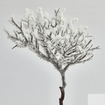 Veja Natur PVC Imbiancato H-32, D-23 Cm