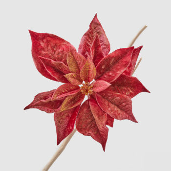 Stella di Natale Fiore Velluto/Clip 23 Cm