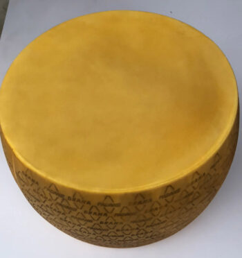 SIR GRANA PADANO KOLUT H-23,D-44 CM